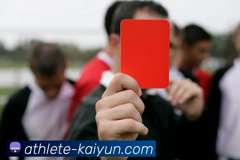 开云官网服务体系