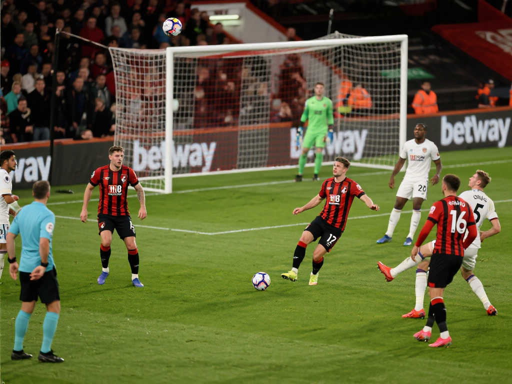 注与期待 注与期待